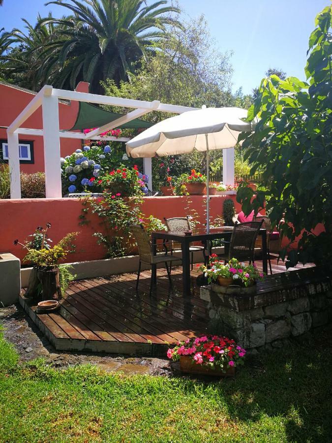 Jardines de Hortensia - Vacation home Tenerife San Cristóbal de La Laguna Exterior foto