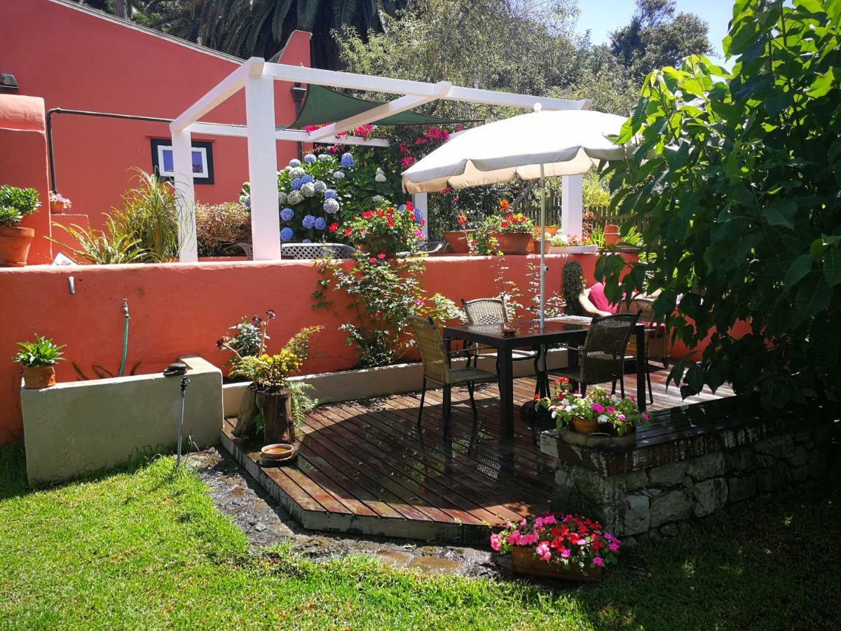 Jardines de Hortensia - Vacation home Tenerife San Cristóbal de La Laguna Exterior foto